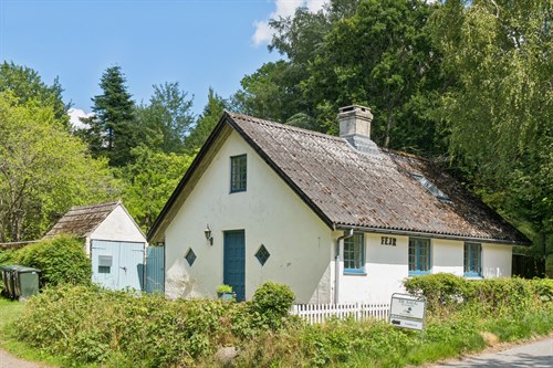 estate