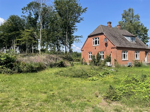 estate