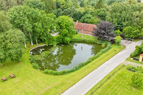 estate