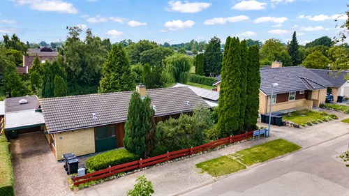 estate