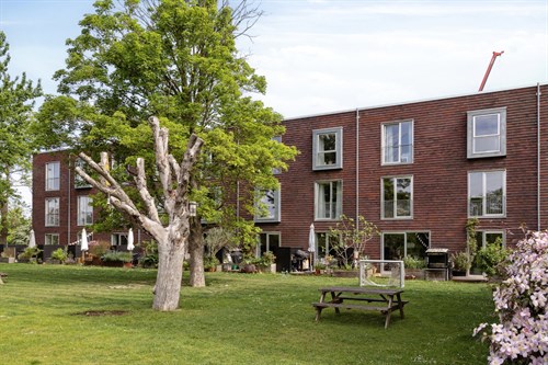 estate