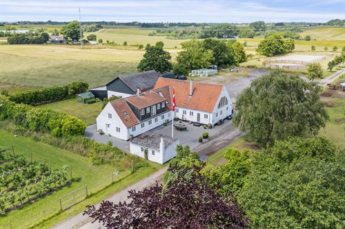 estate