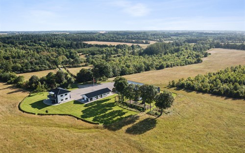 estate