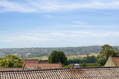 estate