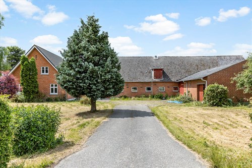 estate
