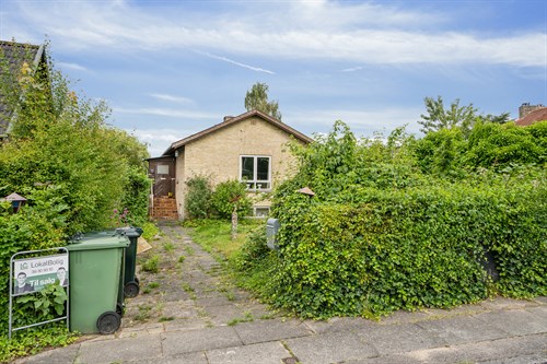 estate