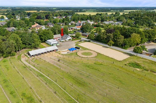 estate