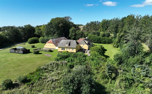 estate