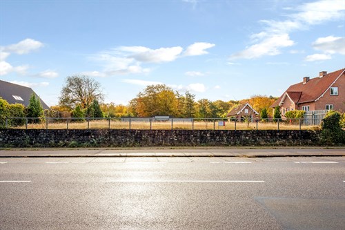 estate