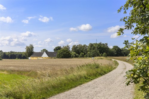 estate