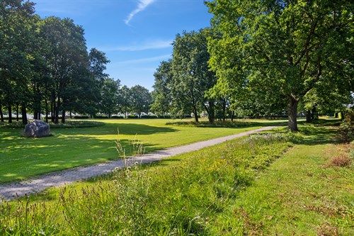 estate