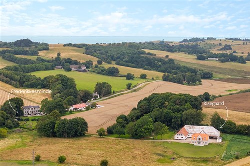 estate
