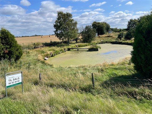 estate