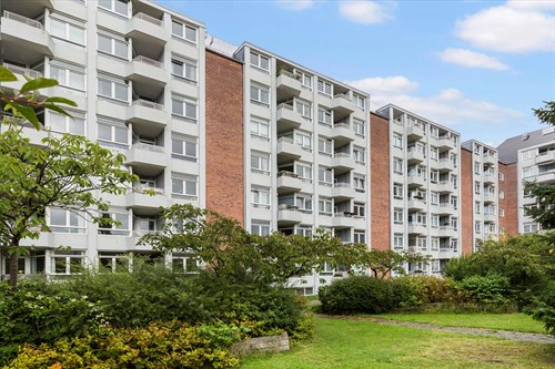 estate