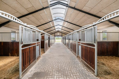 estate