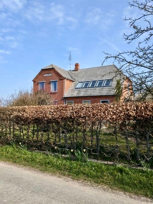 estate