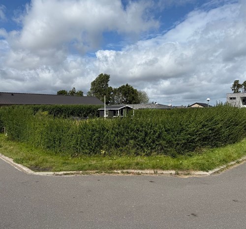estate