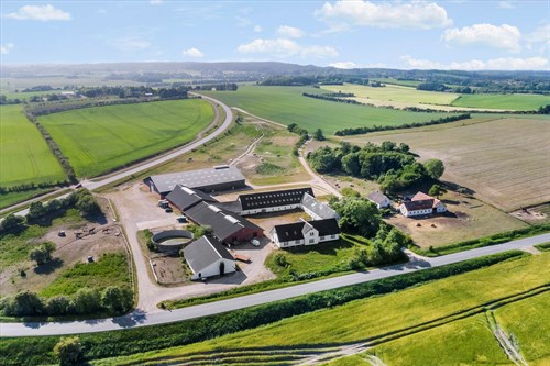 estate