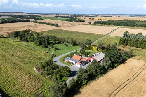 estate