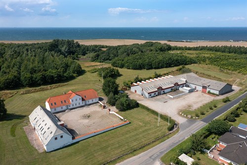 estate