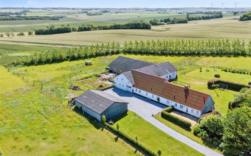 estate