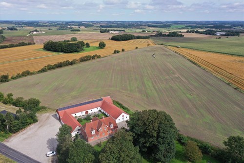 estate