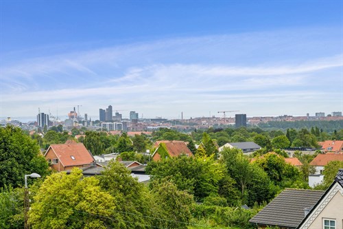 estate