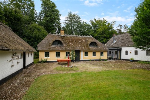 estate