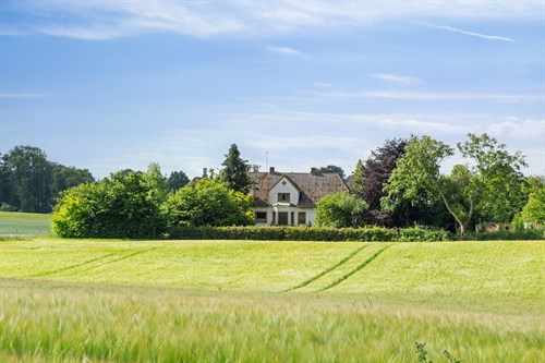 estate