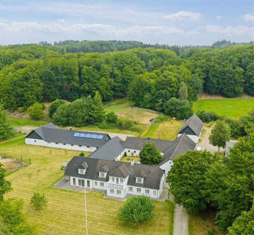 estate