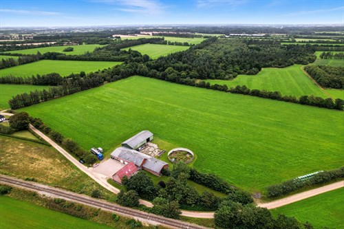 estate