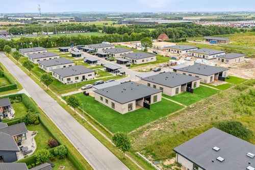 estate