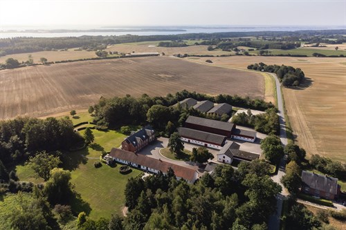 estate