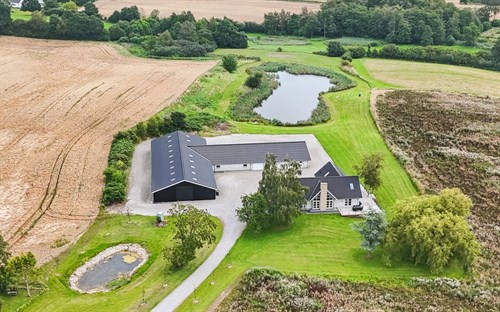 estate
