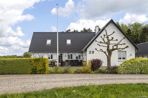 estate