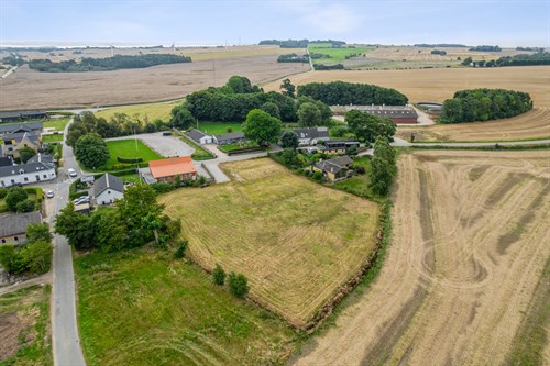 estate