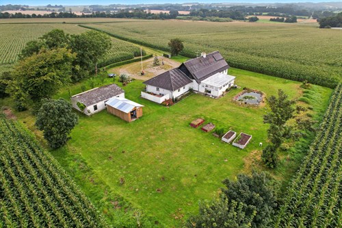 estate