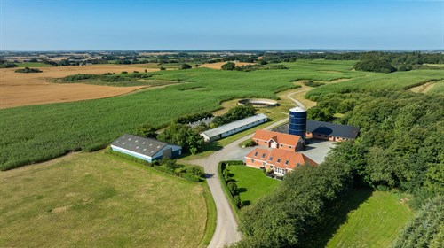 estate