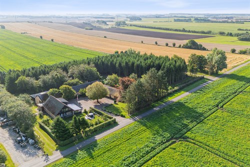 estate