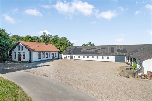 estate