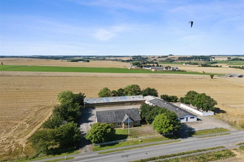 estate