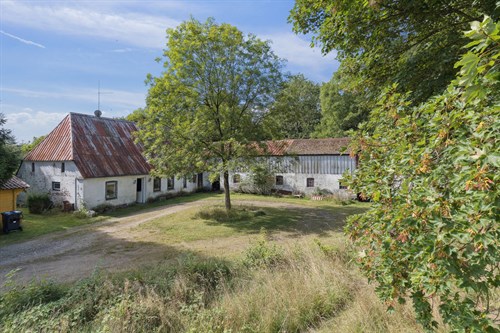estate