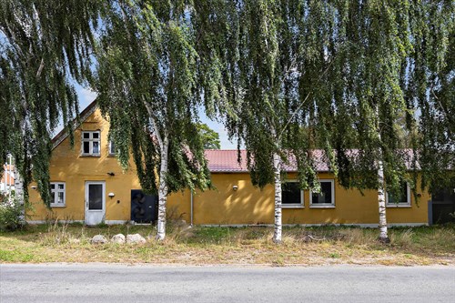 estate