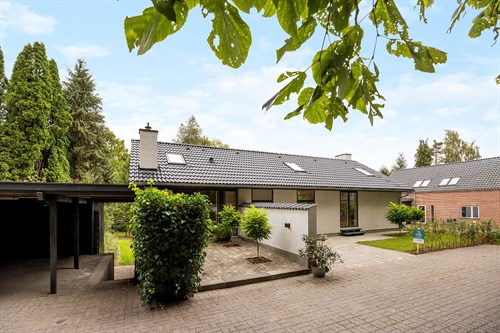 estate