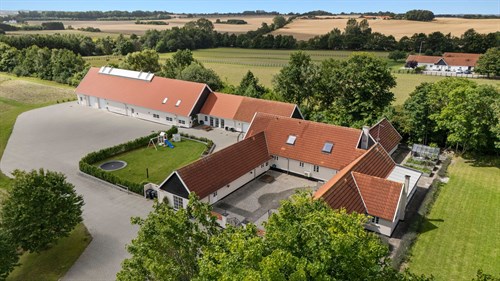 estate
