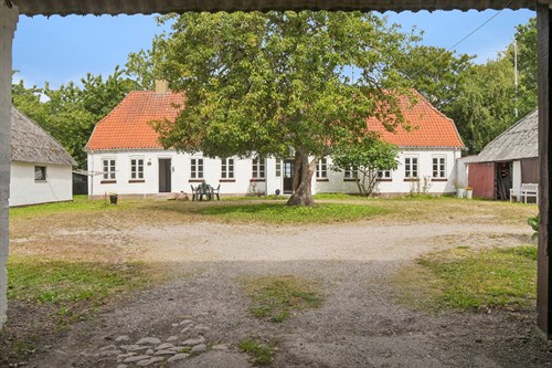estate
