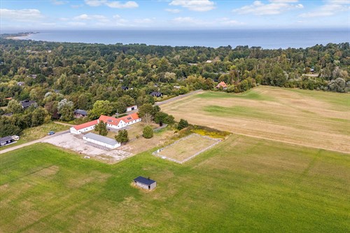 estate