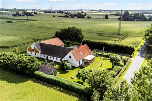 estate