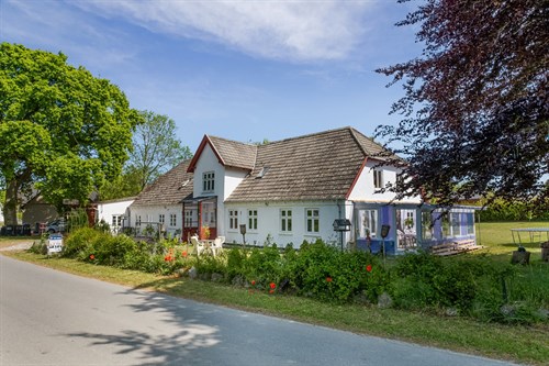 estate