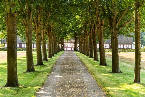 estate